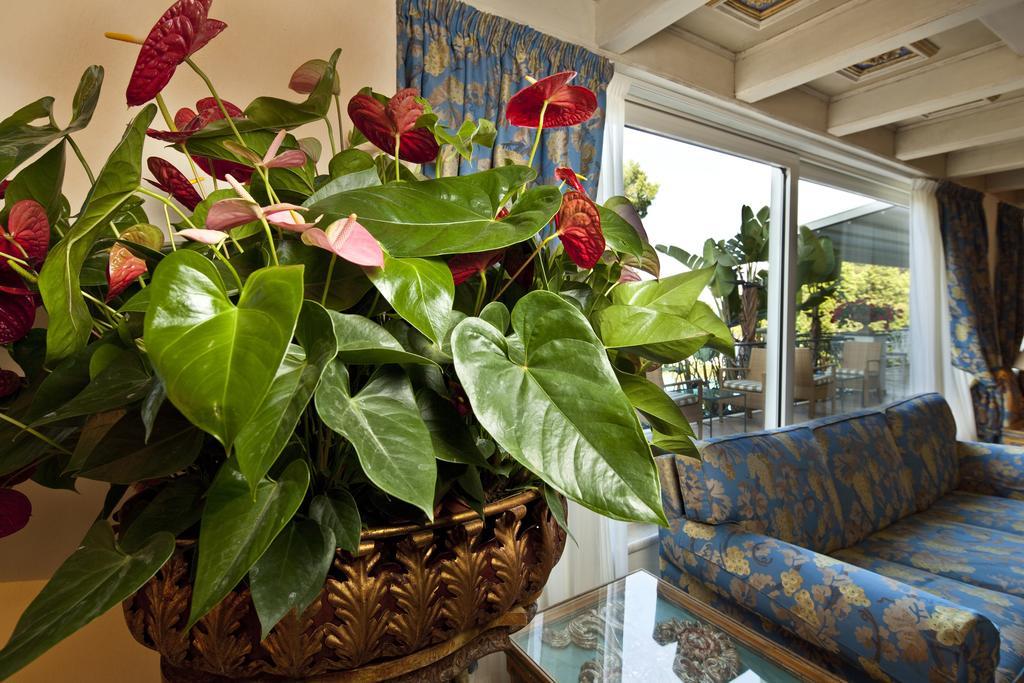 Excelsior Belvedere Hotel & Spa Ischia Exterior foto